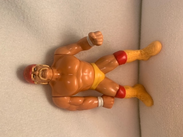 Hulk Hogan 4